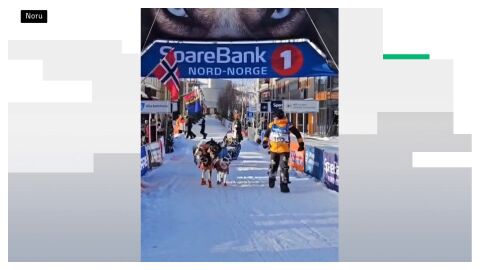  Baltasar Gallardo, primer espa&ntilde;ol en terminar la Finnmarkslopet 600