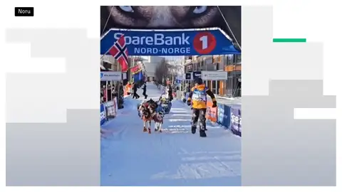 Baltasar Gallardo, primer español en terminar la Finnmarkslopet 600 Baltasar Gallardo, primer español en terminar la Finnmarkslopet 600