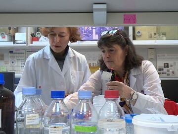 F&aacute;rmaco ELA creado en el CSIC