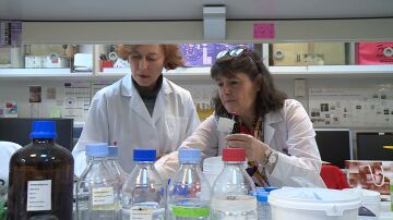 F&aacute;rmaco ELA creado en el CSIC