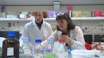 Fármaco ELA creado en el CSIC Fármaco ELA creado en el CSIC