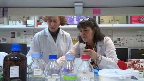 F&aacute;rmaco ELA creado en el CSIC