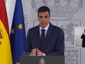 Pedro S&aacute;nchez