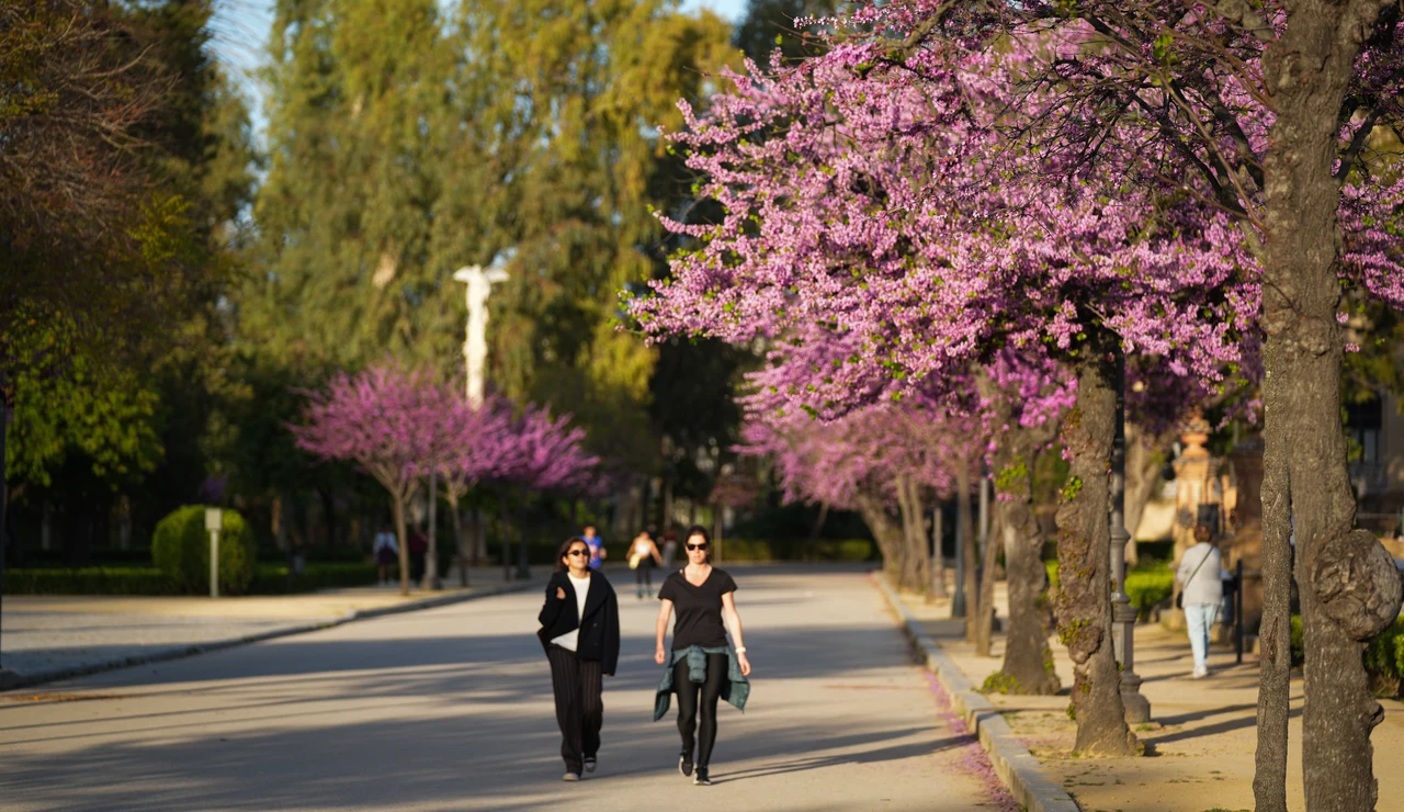Imagen de archivo de las buenas temperaturas con dos mujeres paseando por un parque.
