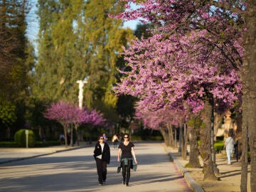 Imagen de archivo de las buenas temperaturas con dos mujeres paseando por un parque.