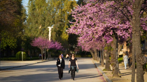 Imagen de archivo de las buenas temperaturas con dos mujeres paseando por un parque.