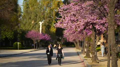 Imagen de archivo de las buenas temperaturas con dos mujeres paseando por un parque. Imagen de archivo de las buenas temperaturas con dos mujeres paseando por un parque.