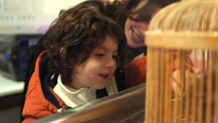 El precioso mensaje de Alya a su hijo contra la violencia de Sadakat: &ldquo;Los animales sienten como t&uacute;&rdquo;