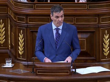 Pedro S&aacute;nchez en el Congreso de los Diputados