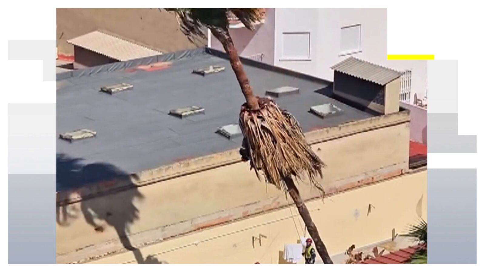 Vídeo: así fue el agobiante rescate de un trabajador y un bombero atrapados en una palmera 