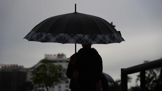 Peatones se protegen de la lluvia bajo sus paraguas. Peatones se protegen de la lluvia bajo sus paraguas.