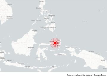 Grafismo de un se&iacute;smo en Indonesia