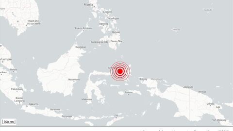 Grafismo de un se&iacute;smo en Indonesia