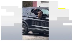 La mujer detenida escapando de la Polic&iacute;a.