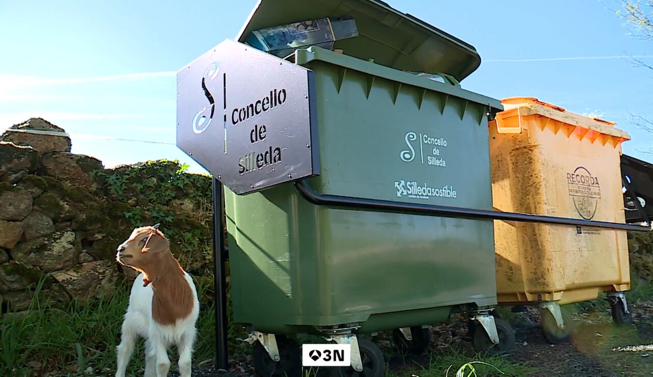 Silleda se planta ante el mal reciclaje: contenedores bloqueados y multas de hasta 2.000 &euro;