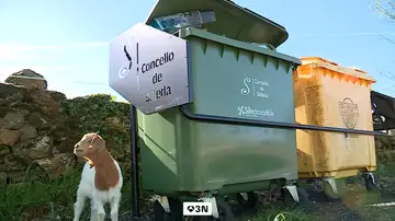 Silleda se planta ante el mal reciclaje: contenedores bloqueados y multas de hasta 2.000 € Silleda se planta ante el mal reciclaje: contenedores bloqueados y multas de hasta 2.000 €