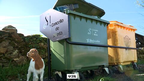 Silleda se planta ante el mal reciclaje: contenedores bloqueados y multas de hasta 2.000 &euro;