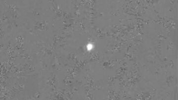 Nave Ori&oacute;n misi&oacute;n Artemis II