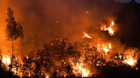 Vista del incendio forestal en el monte Galleiro, a 6 de abril de 2026, en Ribadetea, Ponteareas, Pontevedra, Galicia (España) Vista del incendio forestal en el monte Galleiro, a 6 de abril de 2026, en Ribadetea, Ponteareas, Pontevedra, Galicia (España)