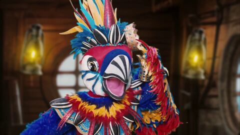 Las pistas de Loro, una m&aacute;scara con un pico muy parlanch&iacute;n