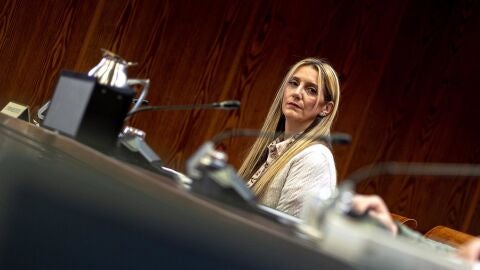 Exdirector de Logirail afirma que Claudia Montes trabaj&oacute; despu&eacute;s de un inicio "irregular" y niega indicaciones de &Aacute;balos