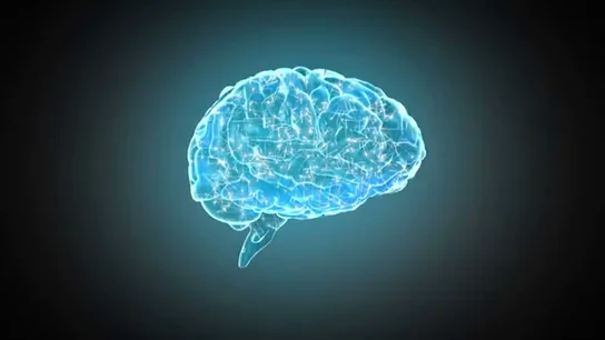 Cerebro Antena3 Noticias