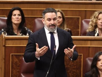 Abascal en el Congreso
