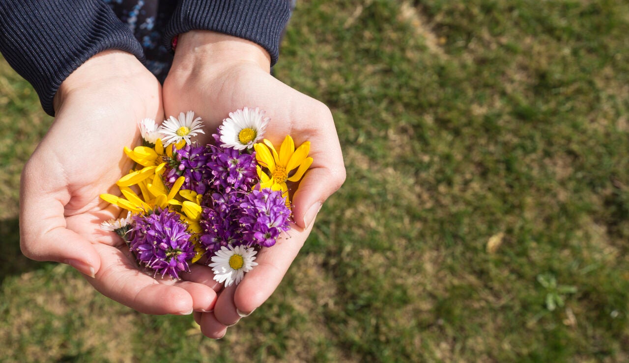 Persona sujetando varios tipos de flores