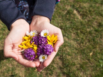 Persona sujetando varios tipos de flores