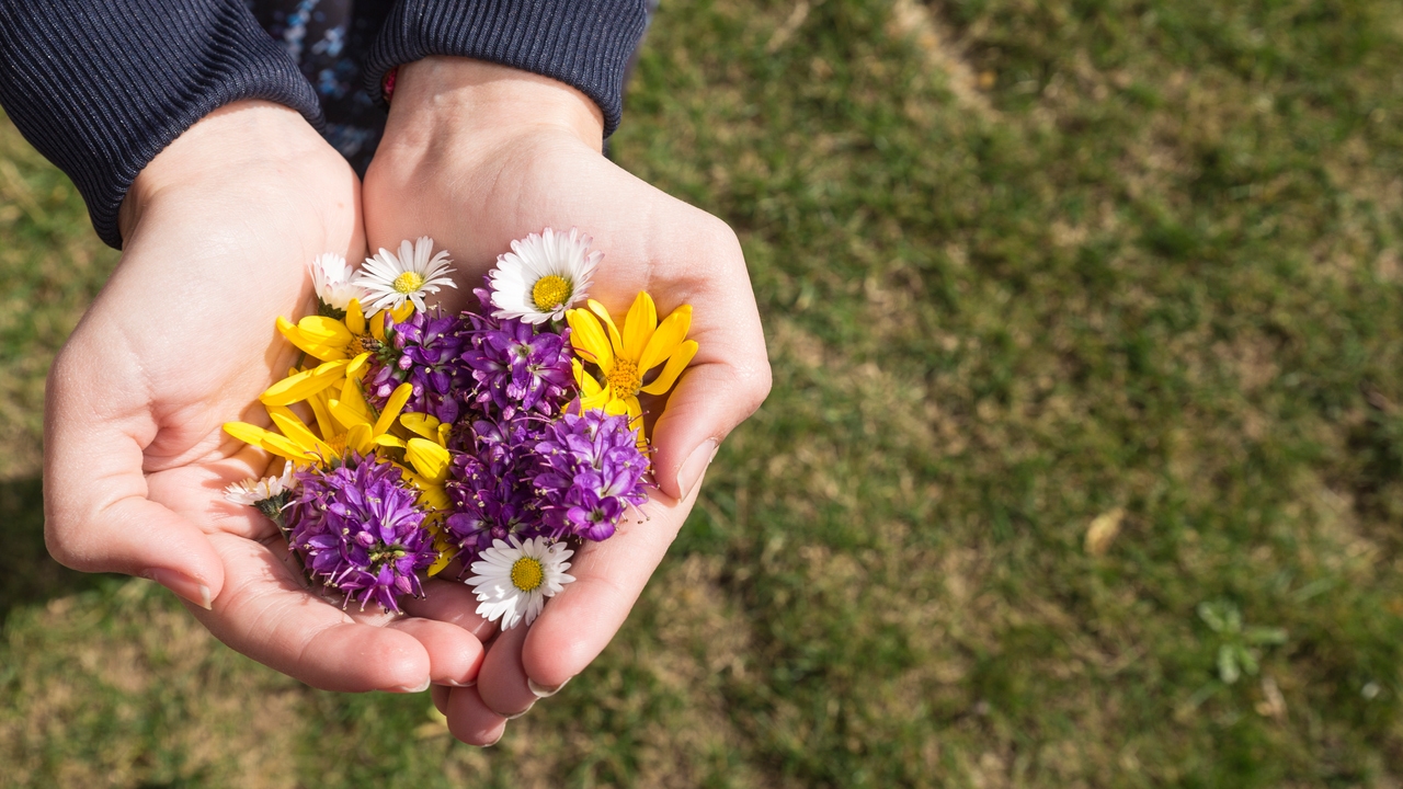 Flower walk: el plan primaveral de domingo que te anima a salir a ...