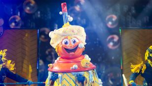 Fregona Mask Singer
