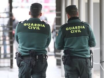 Prisi&oacute;n provisional para el hijo de la mujer hallada muerta en M&aacute;laga