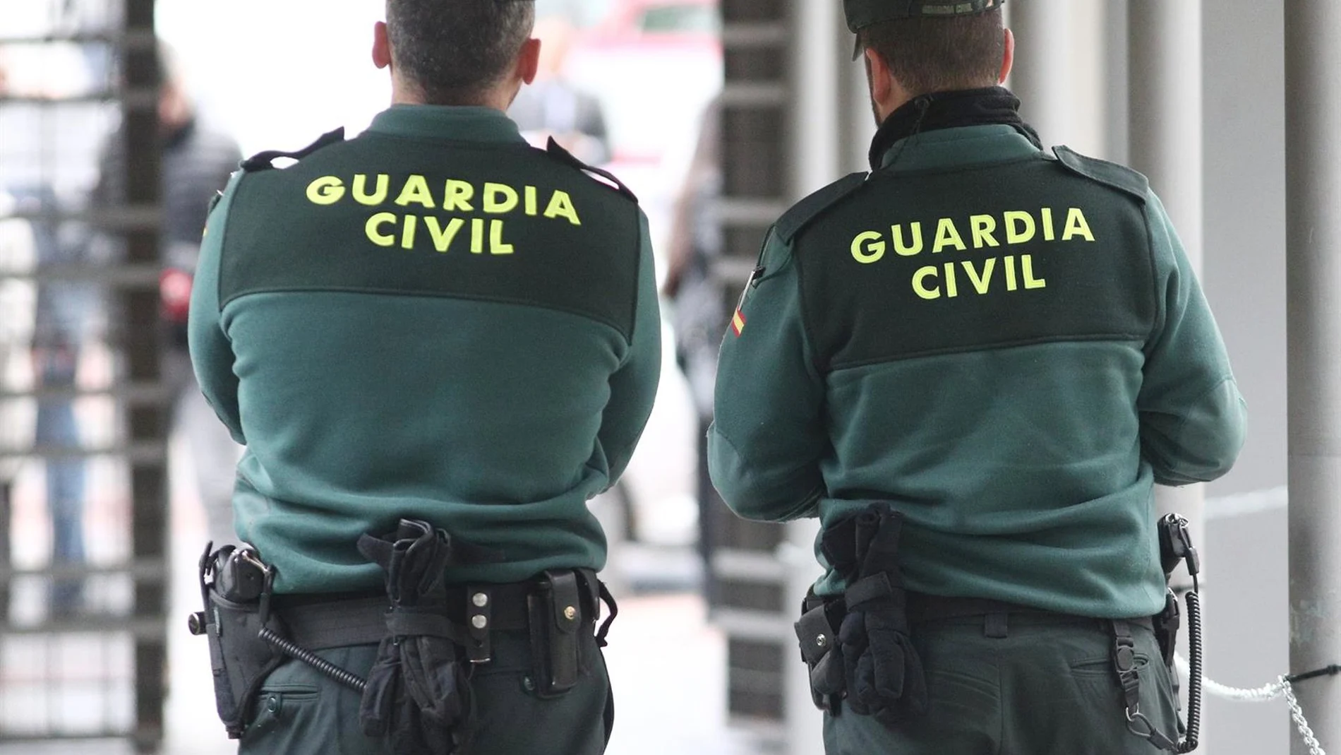 Prisión provisional para el hijo de la mujer hallada muerta en Málaga Prisión provisional para el hijo de la mujer hallada muerta en Málaga