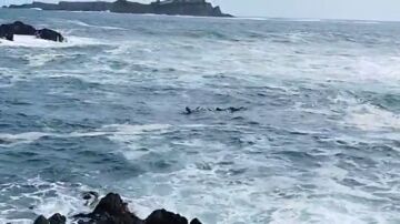 Un joven de Mundaka rescata a un surfista atrapado en la corriente: "O entr&aacute;bamos o se ahogaba"