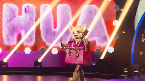 Chihuahua en Mask Singer Chihuahua en Mask Singer
