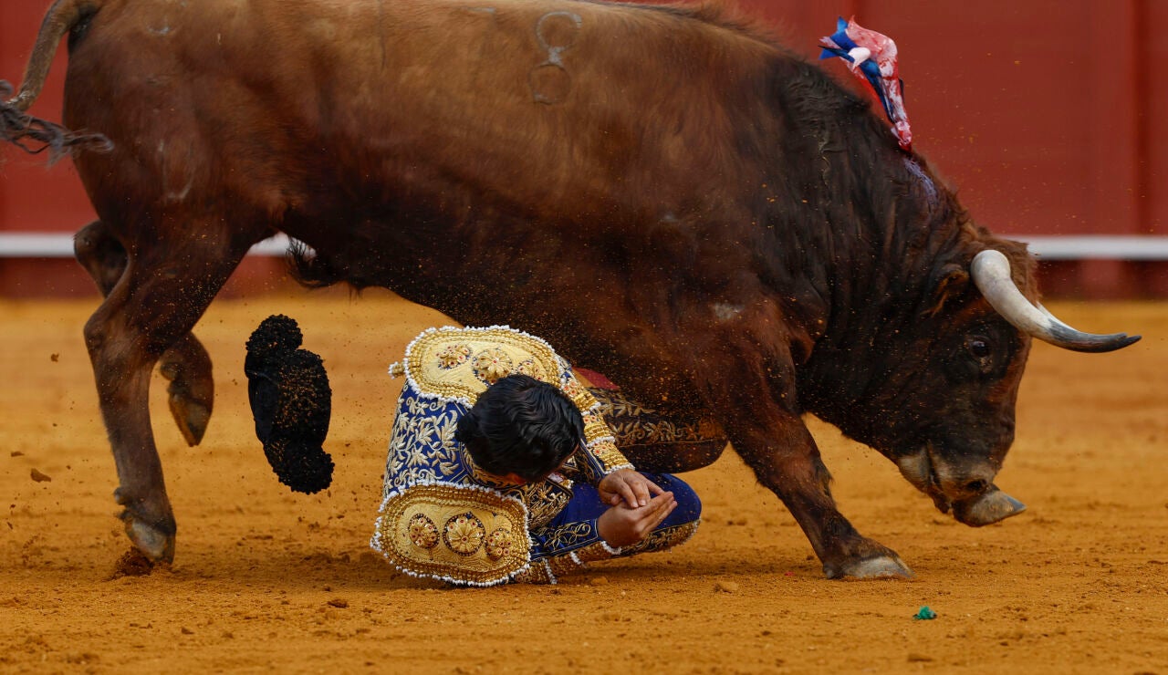 El diestro Morante de la Puebla sufre una cogida durante la novena corrida de la Feria de Abril de Sevilla