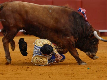 El diestro Morante de la Puebla sufre una cogida durante la novena corrida de la Feria de Abril de Sevilla