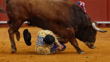 El diestro Morante de la Puebla sufre una cogida durante la novena corrida de la Feria de Abril de Sevilla El diestro Morante de la Puebla sufre una cogida durante la novena corrida de la Feria de Abril de Sevilla