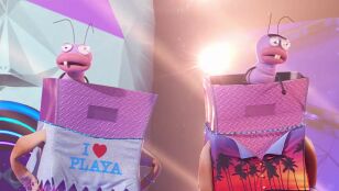 &iexcl;Eran dos y no eran humanos! Chanclas escond&iacute;a a Trancas y Barrancas