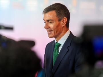 Pedro S&aacute;nchez