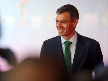 Pedro S&aacute;nchez
