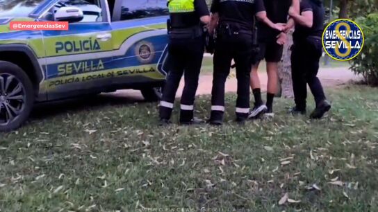 Detienen a un hombre exhibicionista en Sevilla.