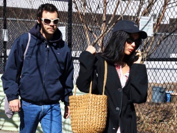 Harry Styles y Zo&euml; Kravitz 