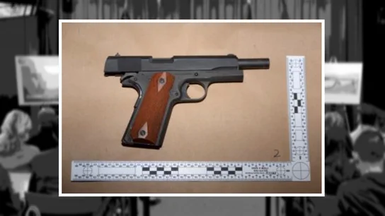 Las armas que portaba el acusado Las armas que portaba el acusado