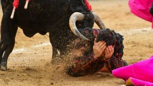 Pron&oacute;stico grave para Ra&uacute;l Ruiz tras una cornada de 25 cm en Las Ventas