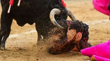 Pron&oacute;stico grave para Ra&uacute;l Ruiz tras una cornada de 25 cm en Las Ventas