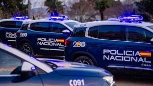 Veh&iacute;culos de la Polic&iacute;a Nacional