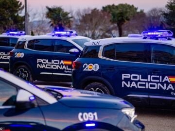 Veh&iacute;culos de la Polic&iacute;a Nacional
