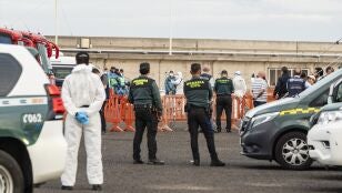 Imagen del operativo desplegado en el puerto de Granadilla de Tenerife