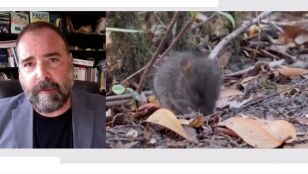 Juan Jos&eacute; Luque, Catedr&aacute;tico de Zoolog&iacute;a